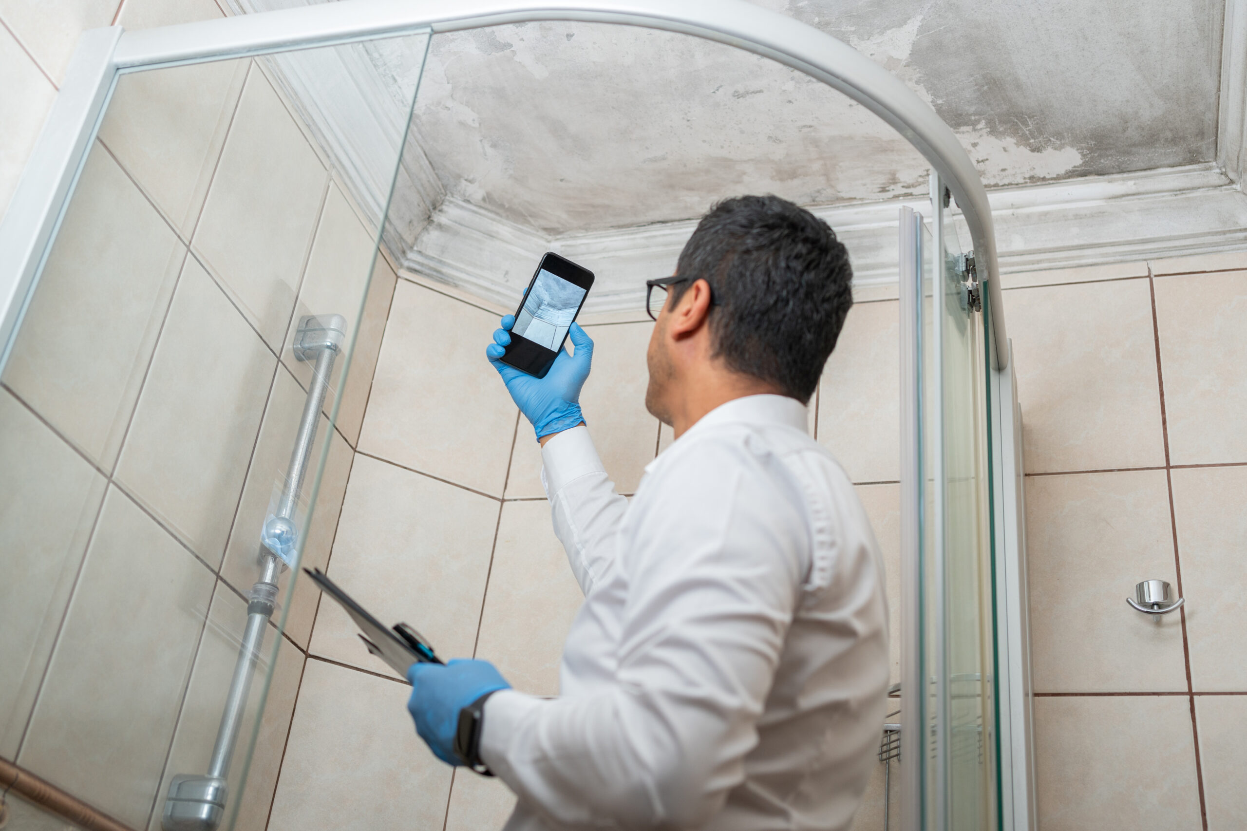 Is Mold Covered by Insurance? A Guide for Homeowners