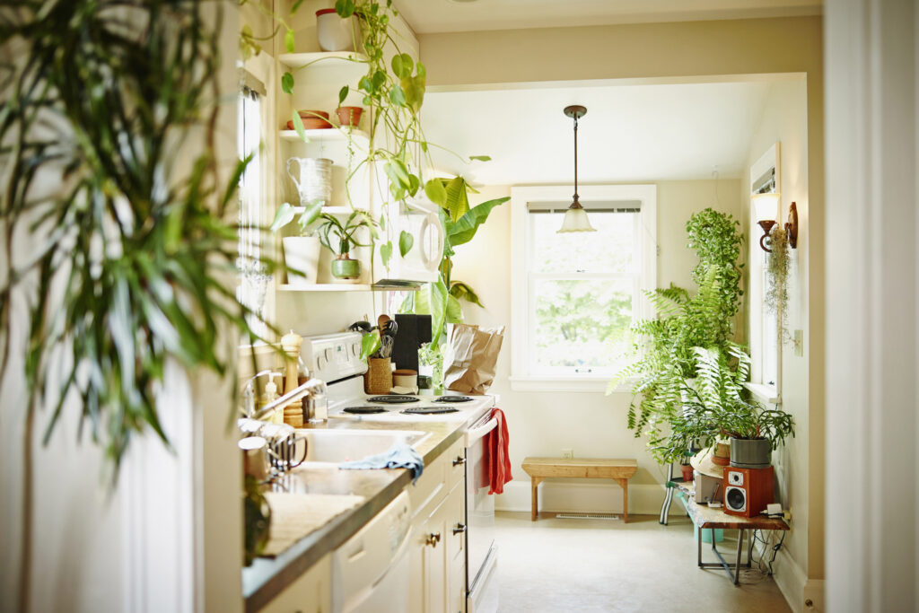 A well lit kitchen with lots of greenery in an example of Wellness Real Estate.